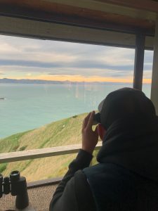 ECOTREASURES Trips