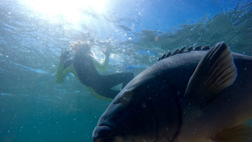 snorkel in beautiful manly