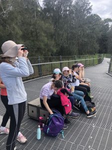 Narrabeen Nature Quest: Duke of Ed Exploration