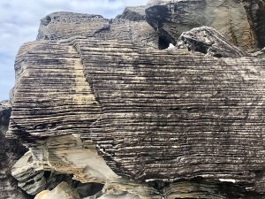 Sandstone coastline Sydney's northern beaches