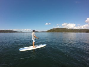 Paddle boarding Pittwater ecotreasures