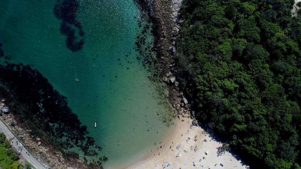 Manly Paddle Board (SUP) and Snorkel Tour