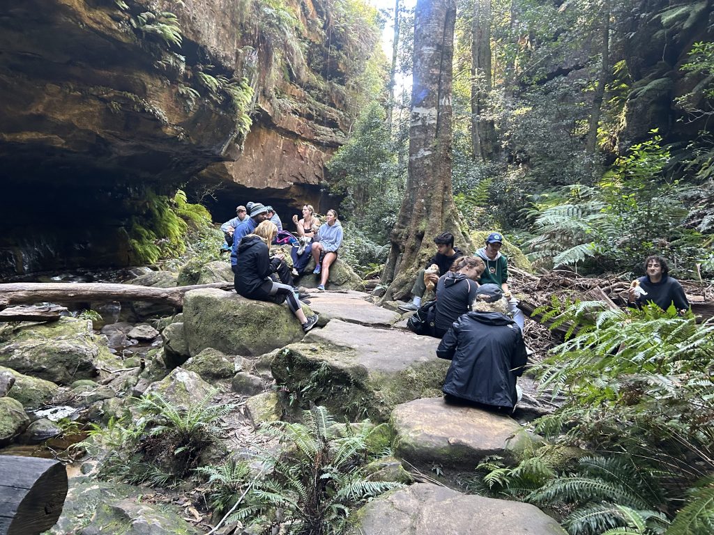 Blue Mountains Private Eco Tour – Group Nature Adventure from Sydney