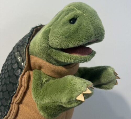 Eco systems incursions Sydney kelpy the turtle